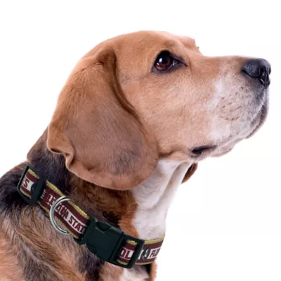 Pets First NCAA Florida State Satin Dog Collar - Image 3