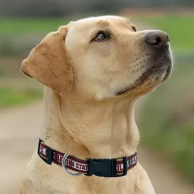 Pets First NCAA Florida State Satin Dog Collar - Image 4