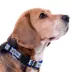 Pets First Duke University Satin Collar image thumbnail 3