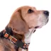 Pets First Auburn Satin Collar image thumbnail 3