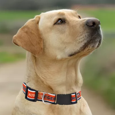 Pets First Auburn Satin Collar - Image 4