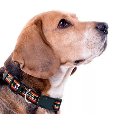 Pets First NFL Arizona Cardinals Satin Dog Collar - Image 3