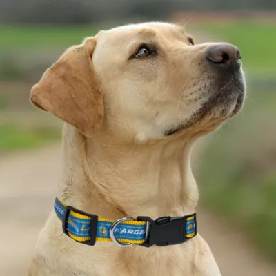 Pets First Los Angeles Chargers Satin Collar - Image 4