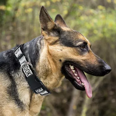 Pets First Brooklyn Nets Satin Collar - Image 2