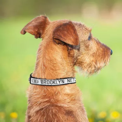 Pets First Brooklyn Nets Satin Collar - Image 3