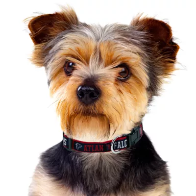 Pets First Atlanta Falcons Satin Collar - Image 3