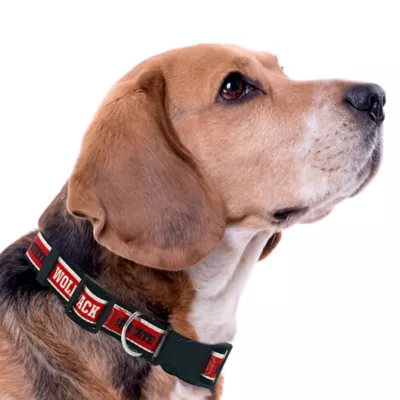 Pets First NCAA North Carolina State Satin Dog Collar - Image 3