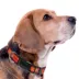 Pets First Kansas City Chiefs Satin Dog Collar image thumbnail 3
