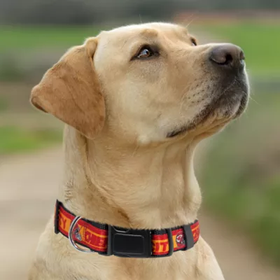 Pets First Kansas City Chiefs Satin Dog Collar - Image 4