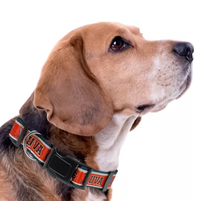 Pets First Virginia Cavaliers Satin Dog Collar - Image 3