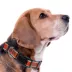 Pets First Virginia Cavaliers Satin Dog Collar image thumbnail 3