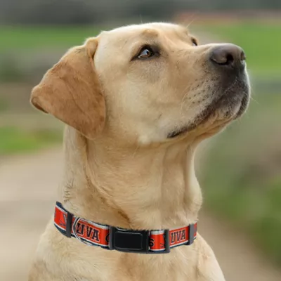 Pets First Virginia Cavaliers Satin Dog Collar - Image 4