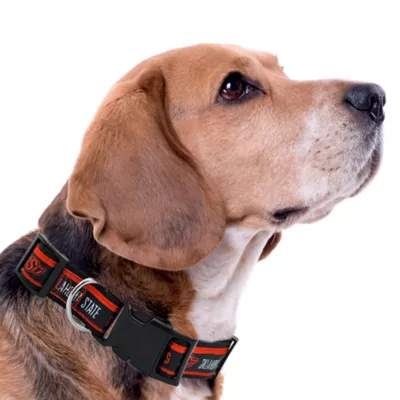 Pets First NCAA Oklahoma State Satin Dog Collar - Image 3