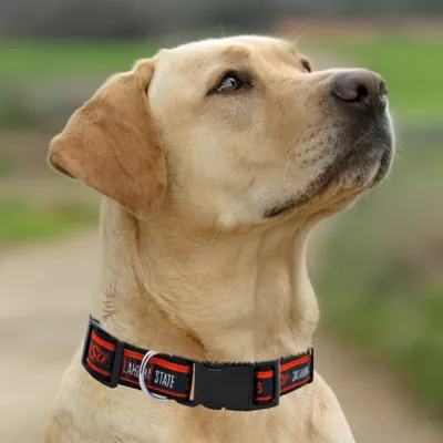 Pets First NCAA Oklahoma State Satin Dog Collar - Image 4