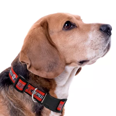 Pets First NCAA Louisville Satin Dog Collar - Image 3