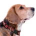 Pets First NCAA Louisville Satin Dog Collar image thumbnail 3