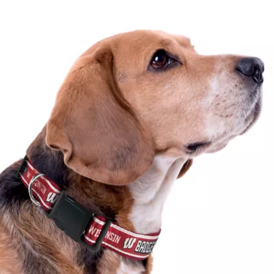 Pets First Wisconsin Satin Collar - Image 3