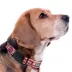 Pets First Wisconsin Satin Collar image thumbnail 3