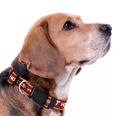 Pets First NCAA Virginia Satin Dog Collar - Image 2