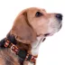 Pets First NCAA Virginia Satin Dog Collar image thumbnail 2