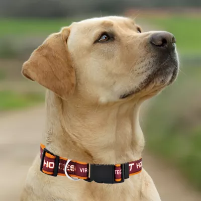 Pets First NCAA Virginia Satin Dog Collar - Image 3