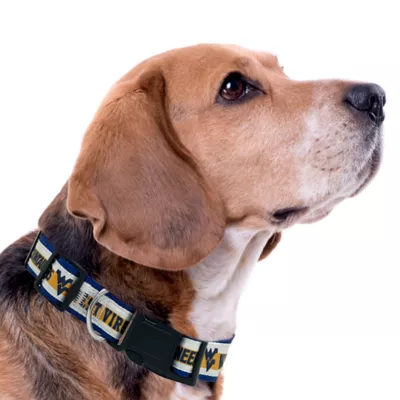 Pets First NCAA West Virginia Satin Dog Collar - Image 3