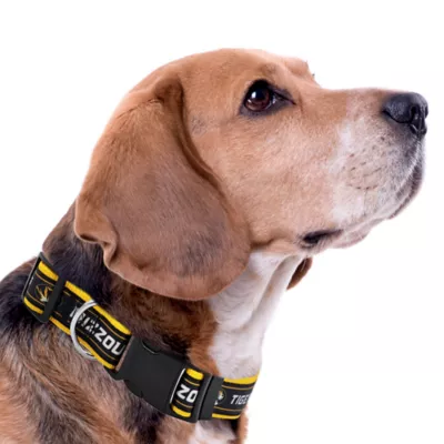 Pets First Missouri Satin Collar - Image 3