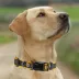 Pets First Pittsburgh Steelers Satin Collar image thumbnail 4