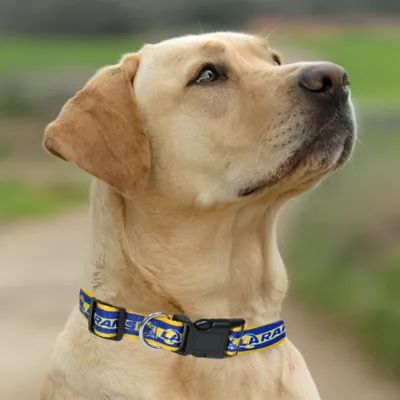 Pets First Los Angeles Rams Satin Collar - Image 4