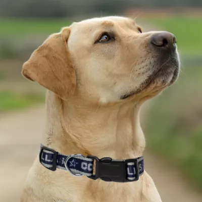 Pets First Dallas Cowboys Satin Collar - Image 4
