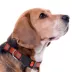 Pets First MLB Boston Red Sox Satin Dog Collar image thumbnail 3