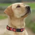 Pets First MLB Boston Red Sox Satin Dog Collar image thumbnail 4