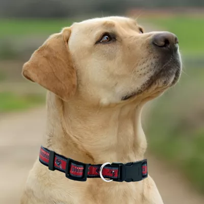 Pets First Tampa Bay Buccaneers Satin Dog Collar - Image 4