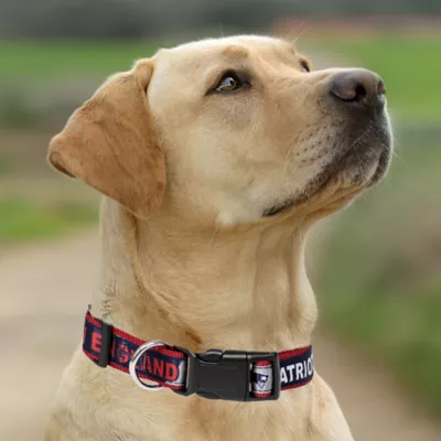 Pets First New England Patriots Satin Collar - Image 4