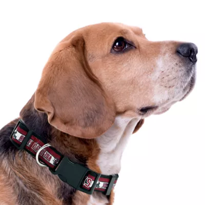 Pets First NCAA South Carolina Satin Dog Collar - Image 3