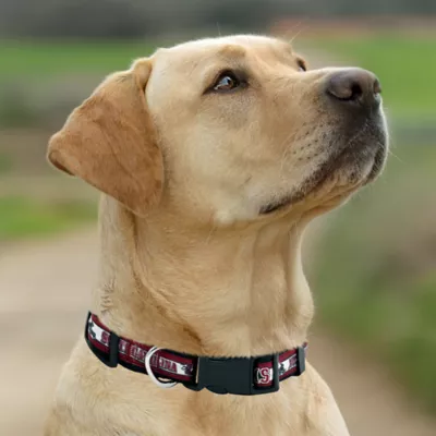 Pets First NCAA South Carolina Satin Dog Collar - Image 4