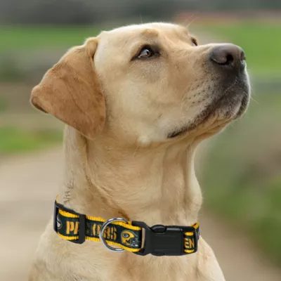 Pets First Green Bay Packers Satin Collar - Image 4