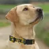 Pets First Green Bay Packers Satin Collar image thumbnail 4