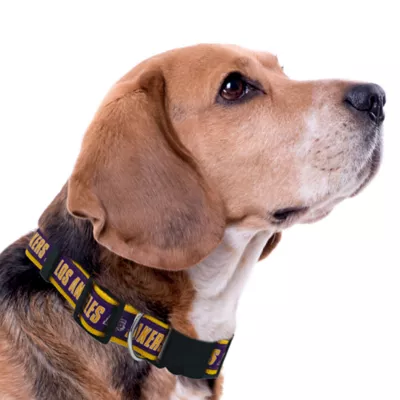 Pets First Los Angeles Lakers Satin Collar - Image 3