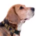 Pets First Los Angeles Lakers Satin Collar image thumbnail 3