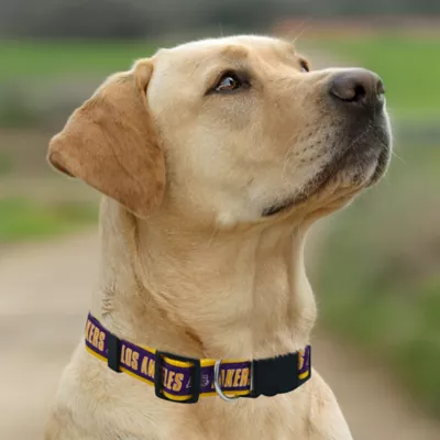 Pets First Los Angeles Lakers Satin Collar - Image 4