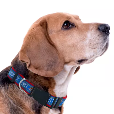 Pets First Oklahoma City Thunder Satin Collar - Image 3