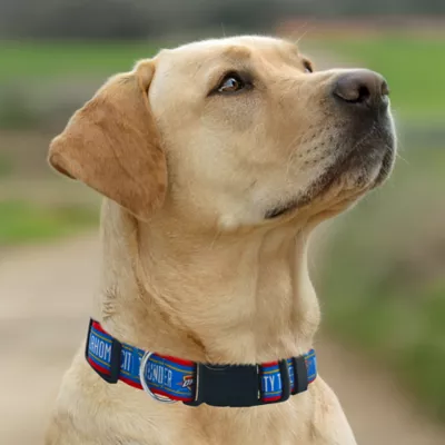 Pets First Oklahoma City Thunder Satin Collar - Image 4