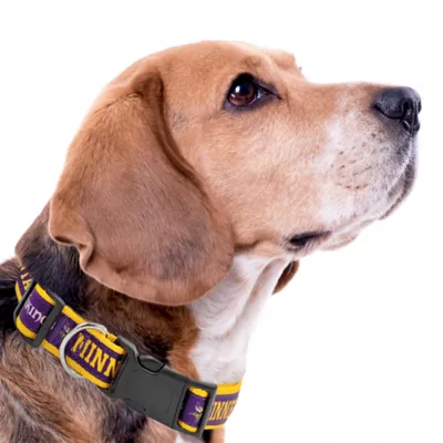 Pets First Minnesota Vikings Satin Collar - Image 3