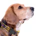 Pets First Minnesota Vikings Satin Collar image thumbnail 3