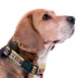 Pets First LSU Satin Collar image thumbnail 3