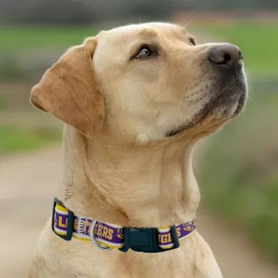 Pets First LSU Satin Collar - Image 4