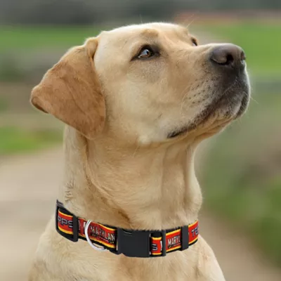 Pets First NCAA Maryland Satin Dog Collar - Image 4