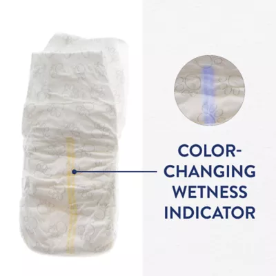 Product Top Paw® Disposable Male Wraps for Dogs, with Swift-Dry® Technology