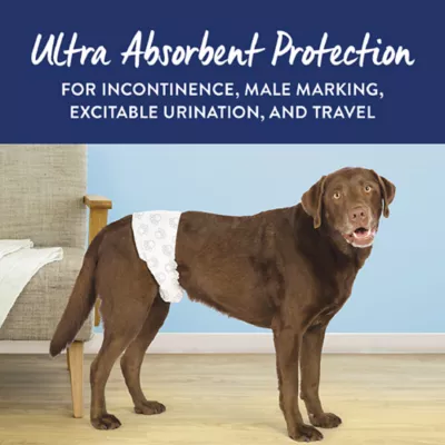 Product Top Paw® Disposable Male Wraps for Dogs, with Swift-Dry® Technology